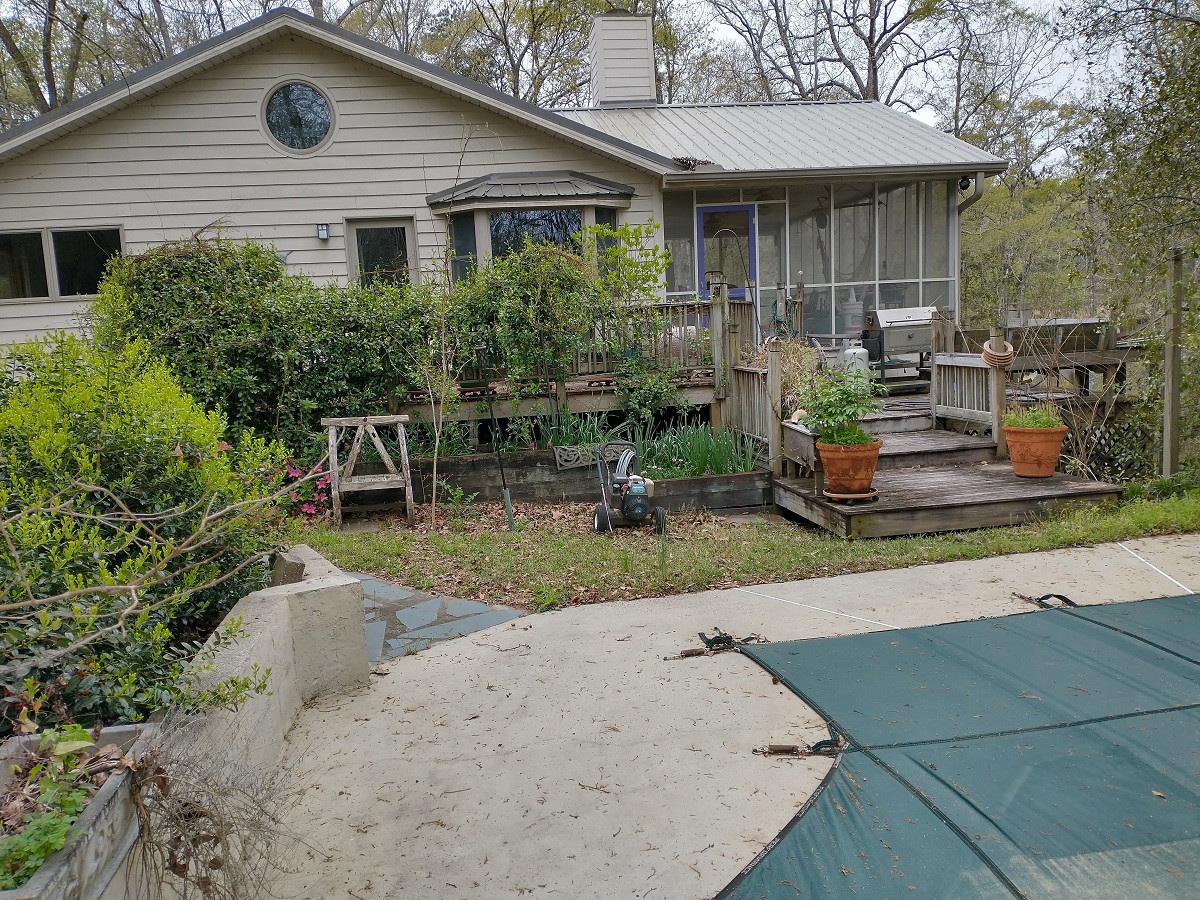 before of backyard in GA